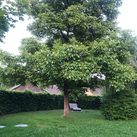 Διαμέρισμα Auszeitwohnung Lage (Lippe)