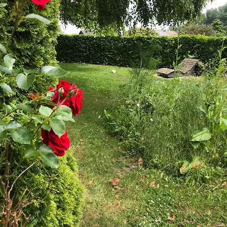 Auszeitwohnung Daire