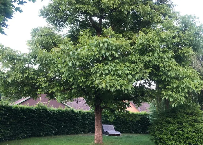 Apartamento Auszeitwohnung Lage (Lippe)