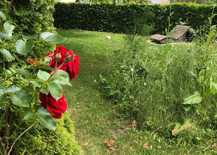 Auszeitwohnung Lejlighed